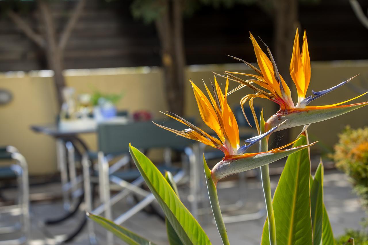 Ayia Napa Tropical Beach Villa Buitenkant foto